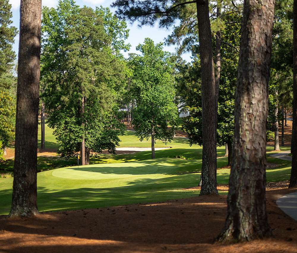 Golf azaleathumb