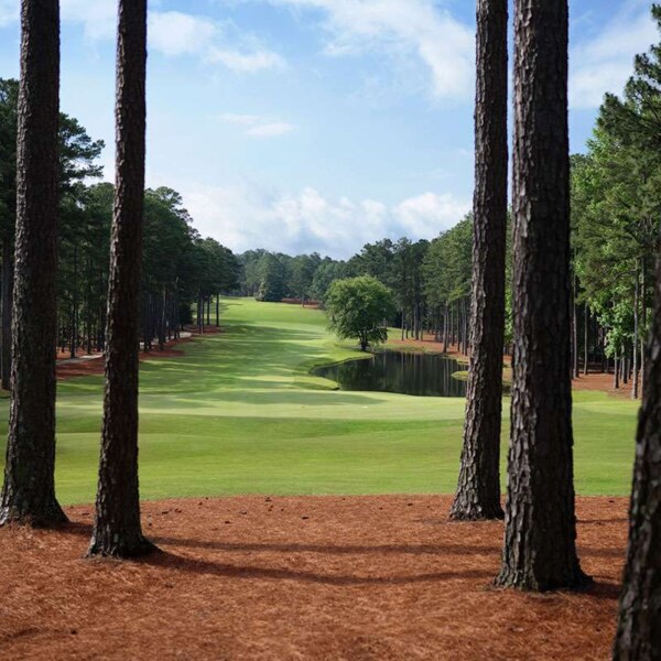 Par 5