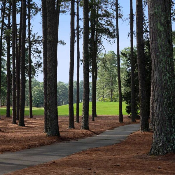 Par 4
