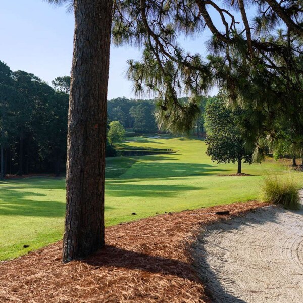 Par 4