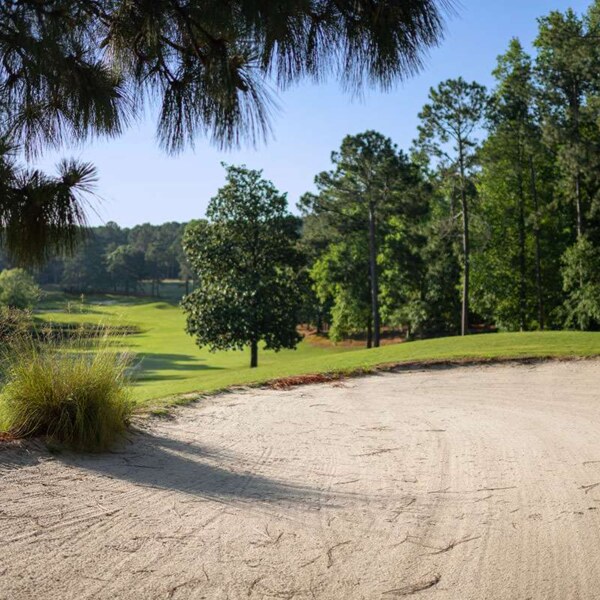 Par 3