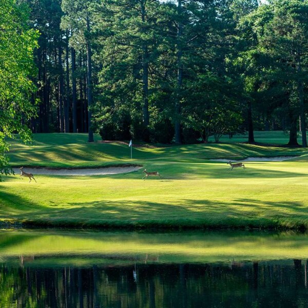 Par 5