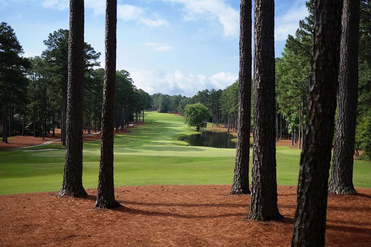 Par 5