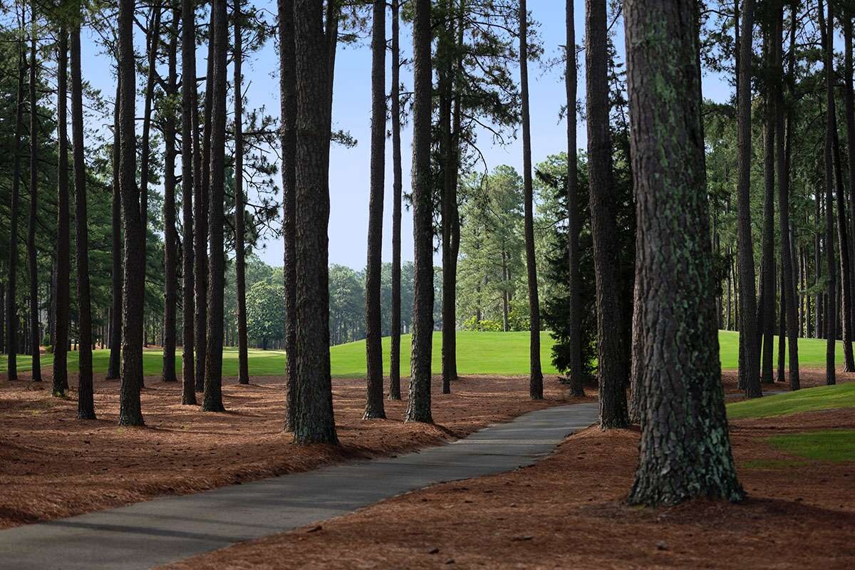 Par 4