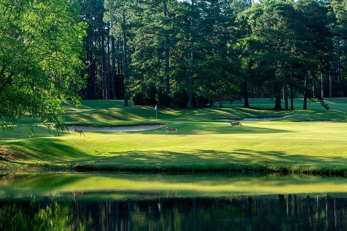 Par 5